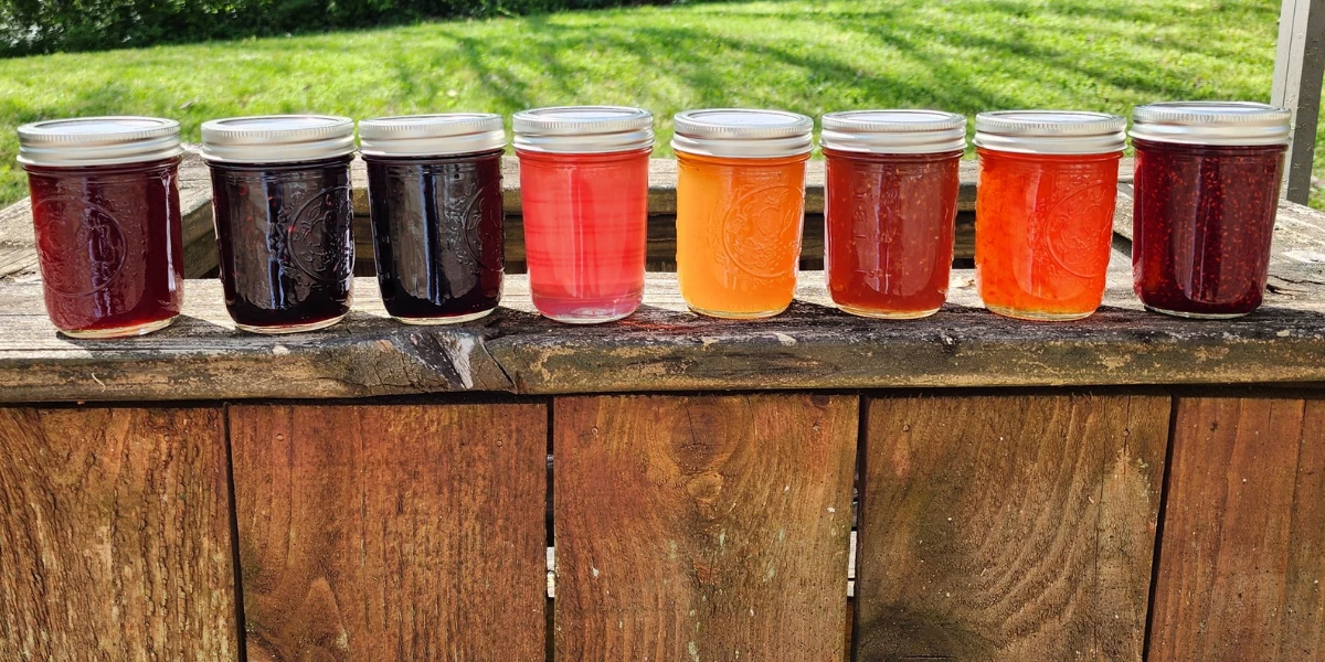 Sunshine & Sugar Jams