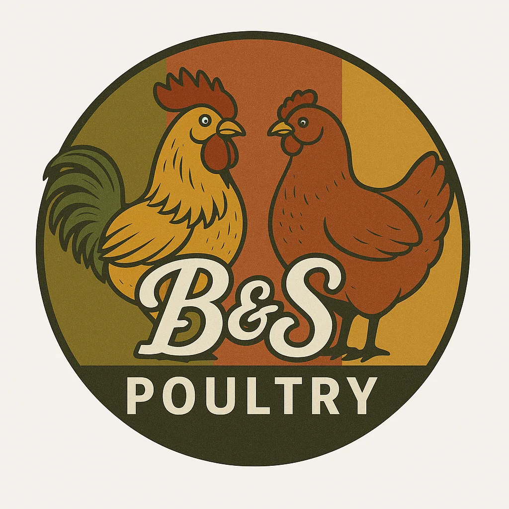 B & S Poultry