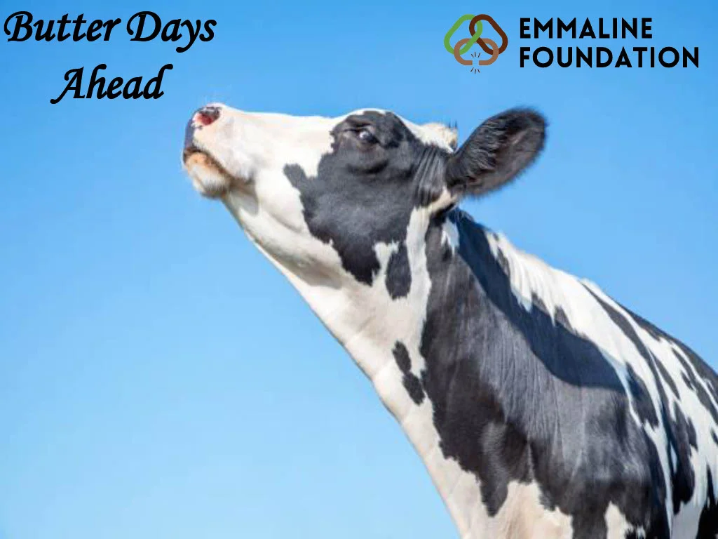 Emmaline Foundation “DBA” Butter Days Ahead