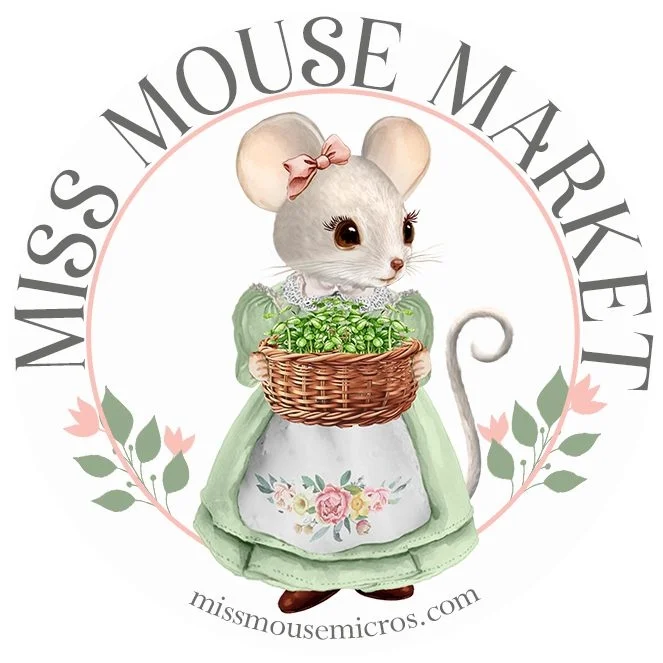 Miss Mouse Market