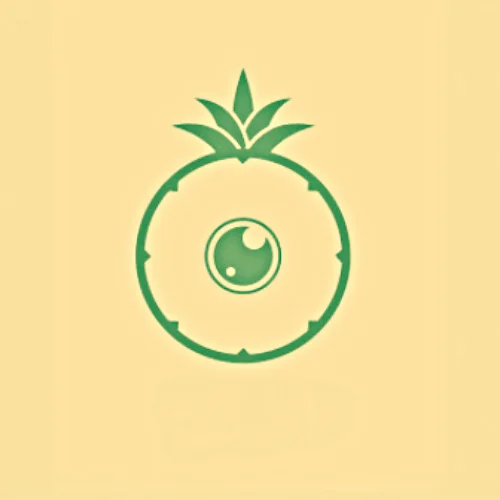 Pineapple Salsa Photography