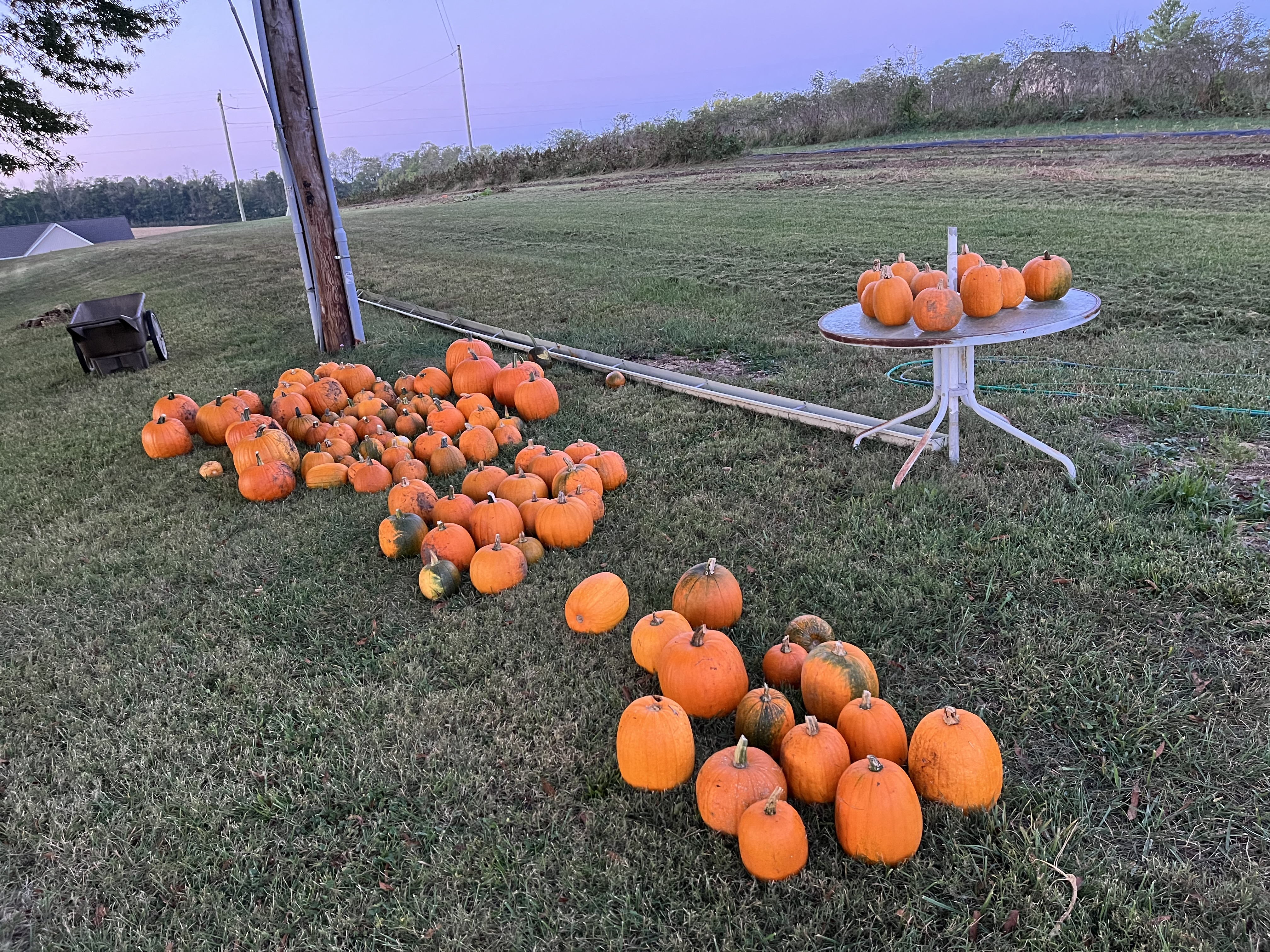 Turney Farms