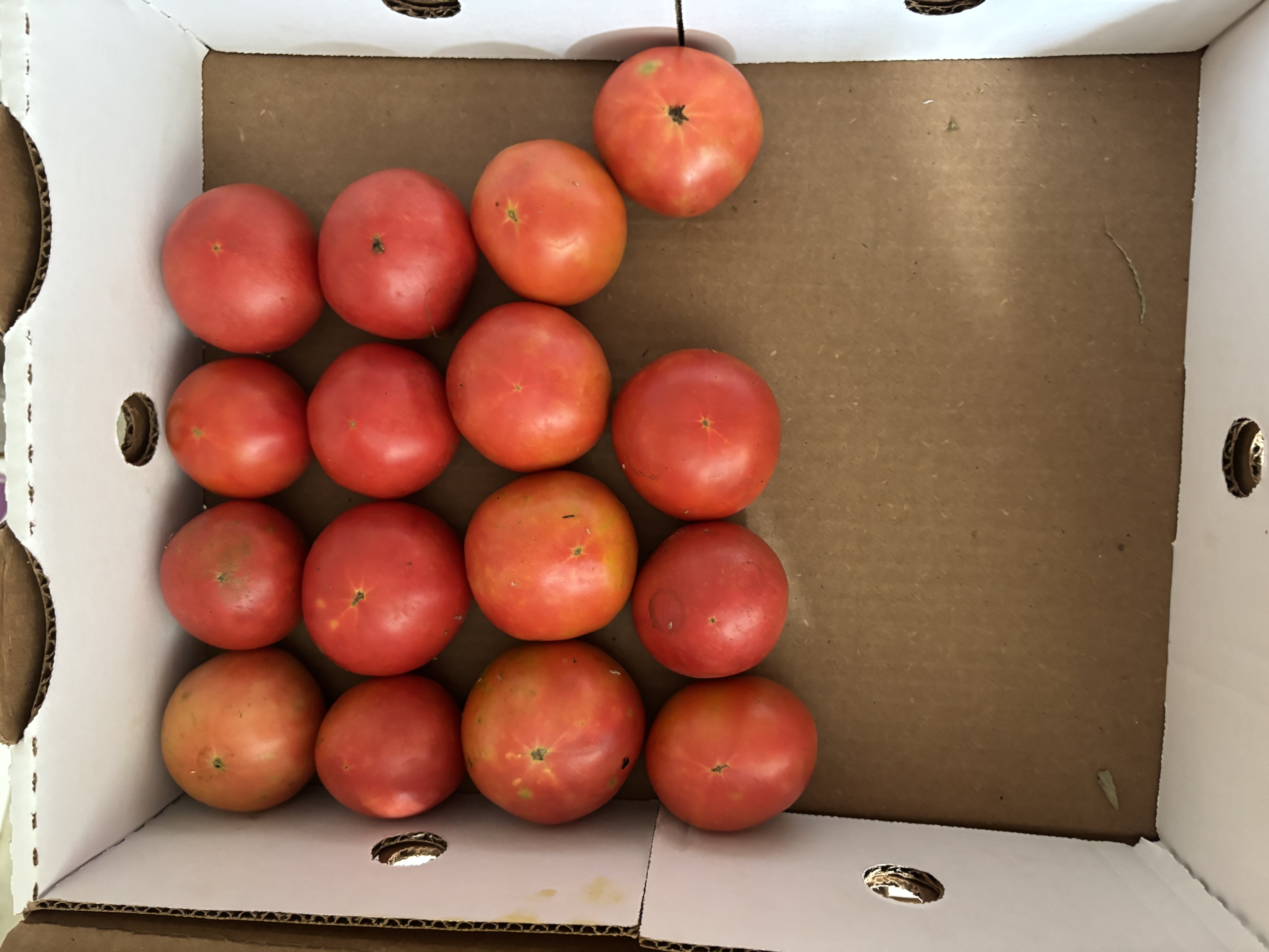 Walker Produce