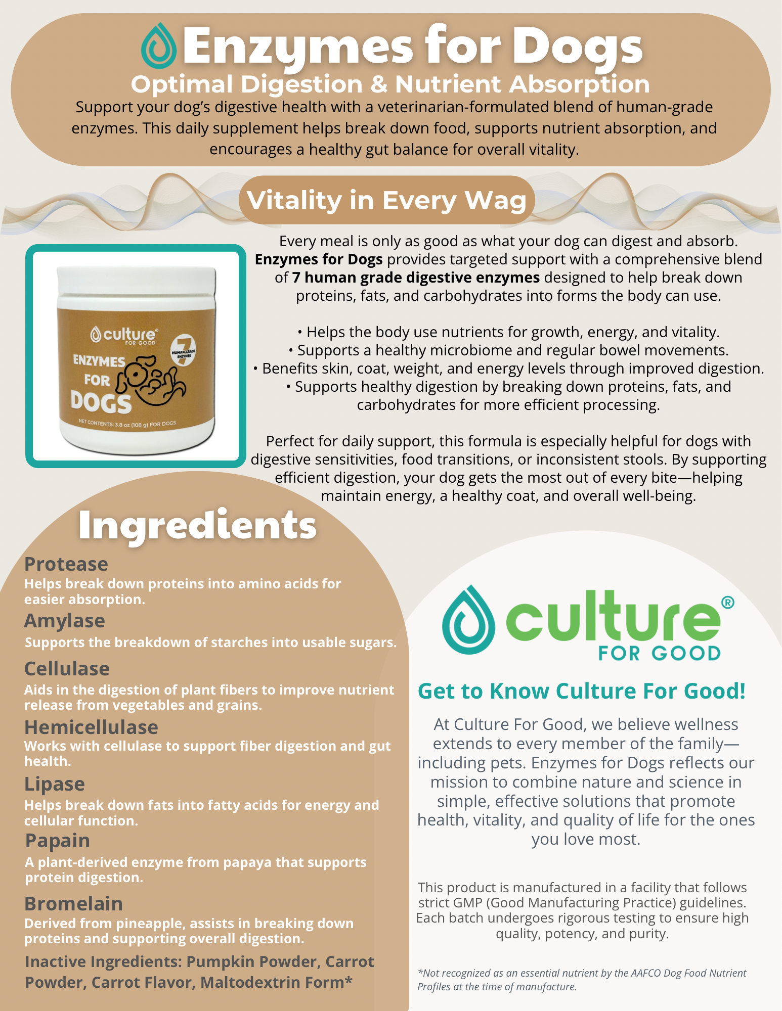Thrive From Scratch
