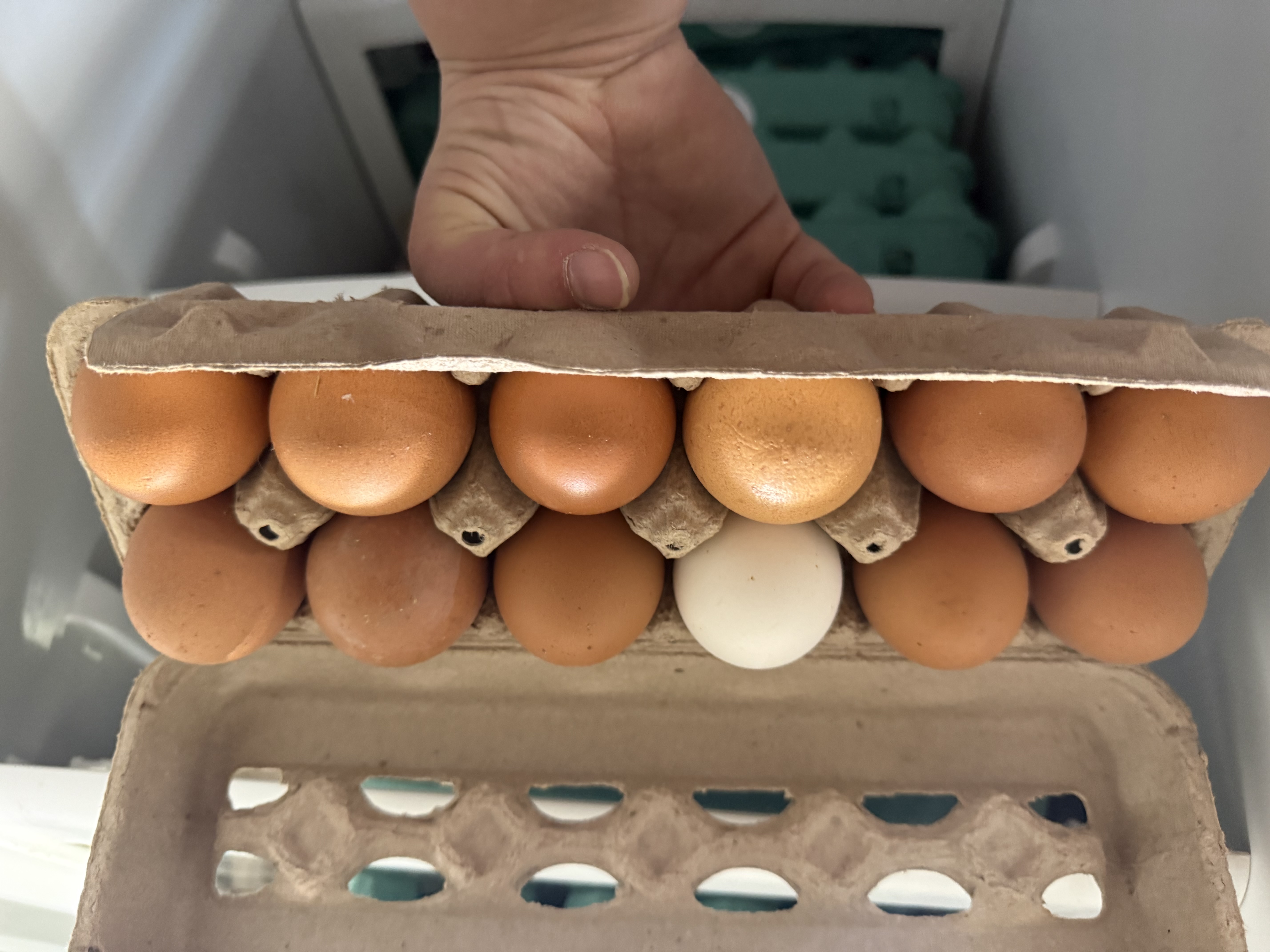 Heatherly’s Eggs