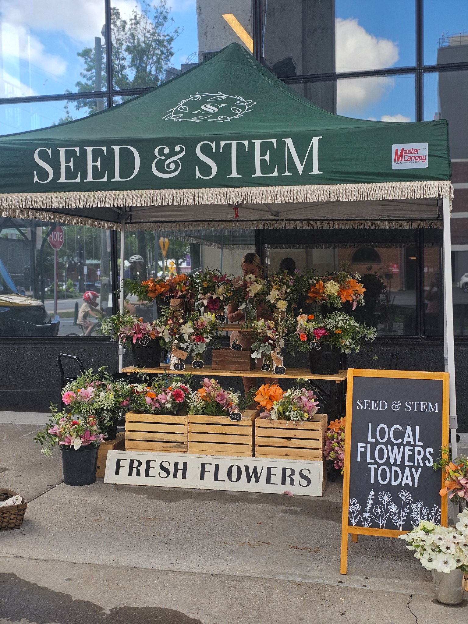 Seed & Stem Co