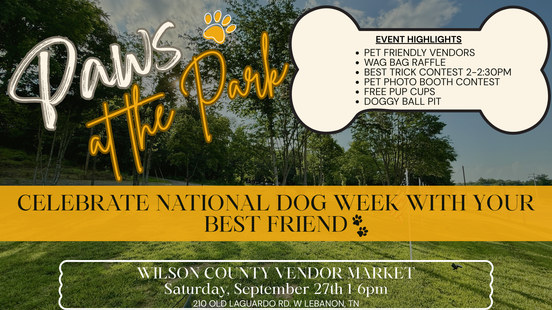 Paws At The Park - WCVM September 27th