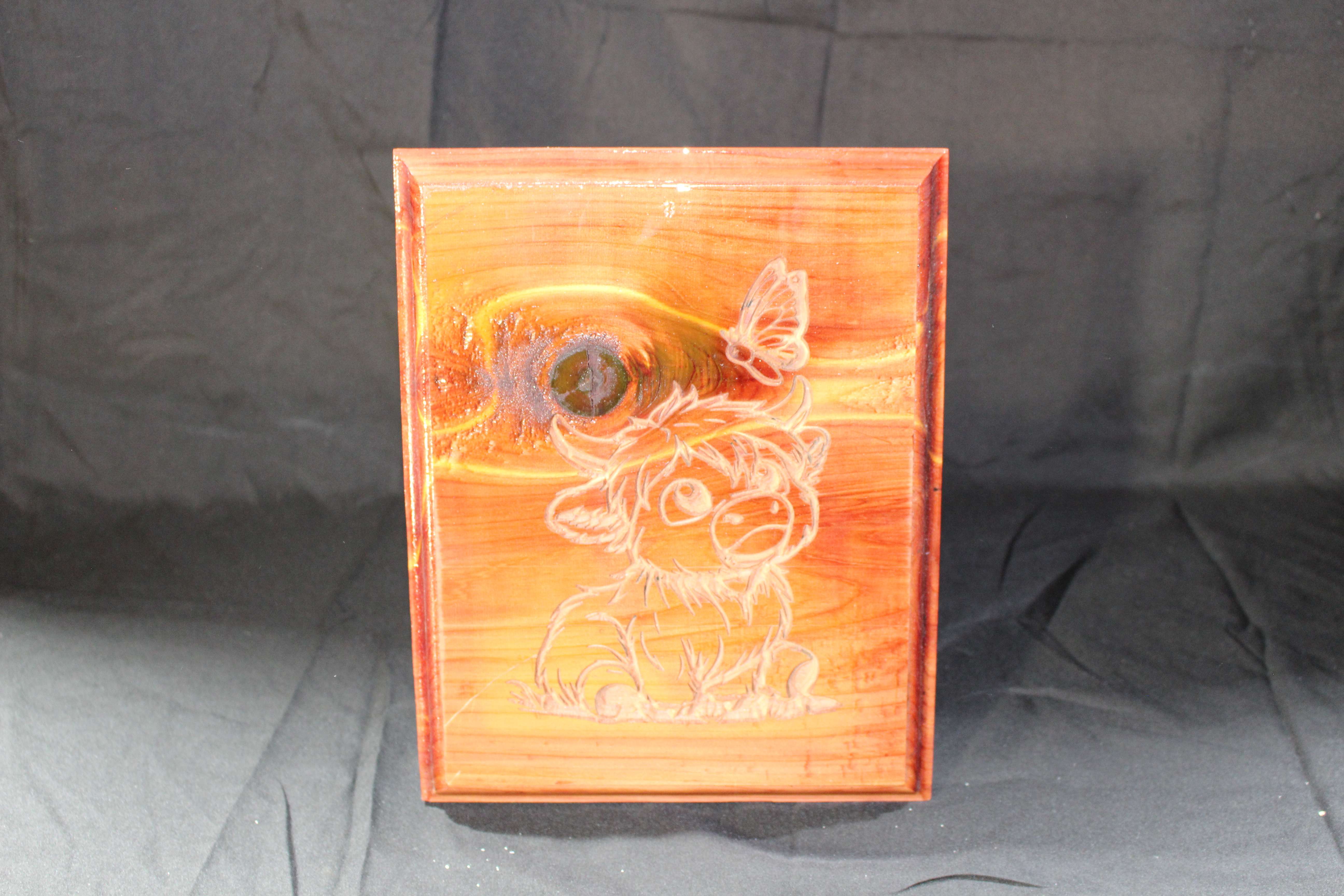 Highland Cow Looking at Butterfly