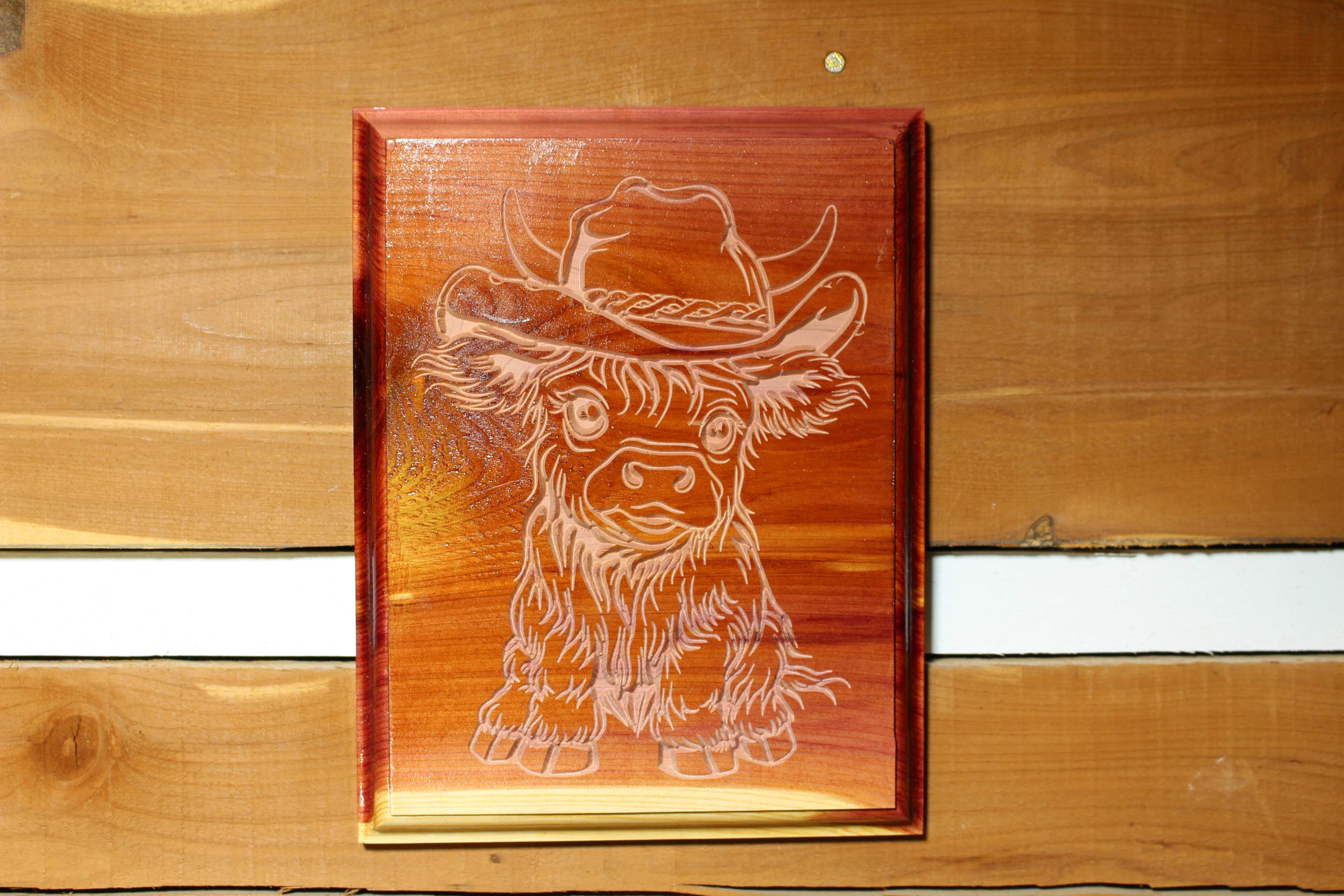 Highland Cow with Cowboy Hat