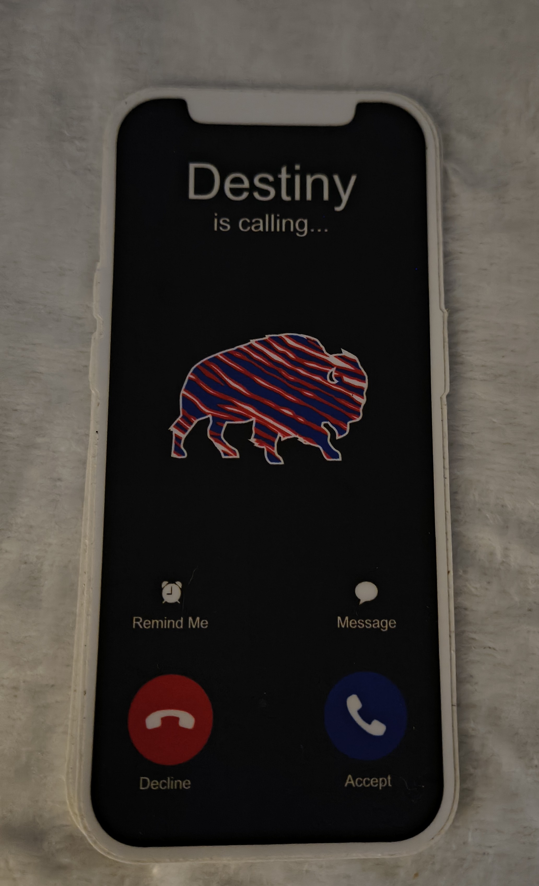 Buffalo Bills Destiny Is Calling Sticker