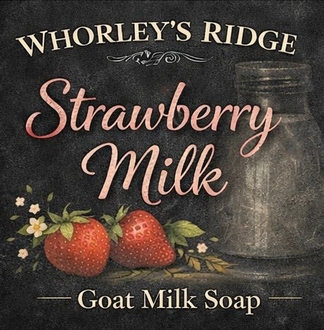 Strawberry Milk Soap