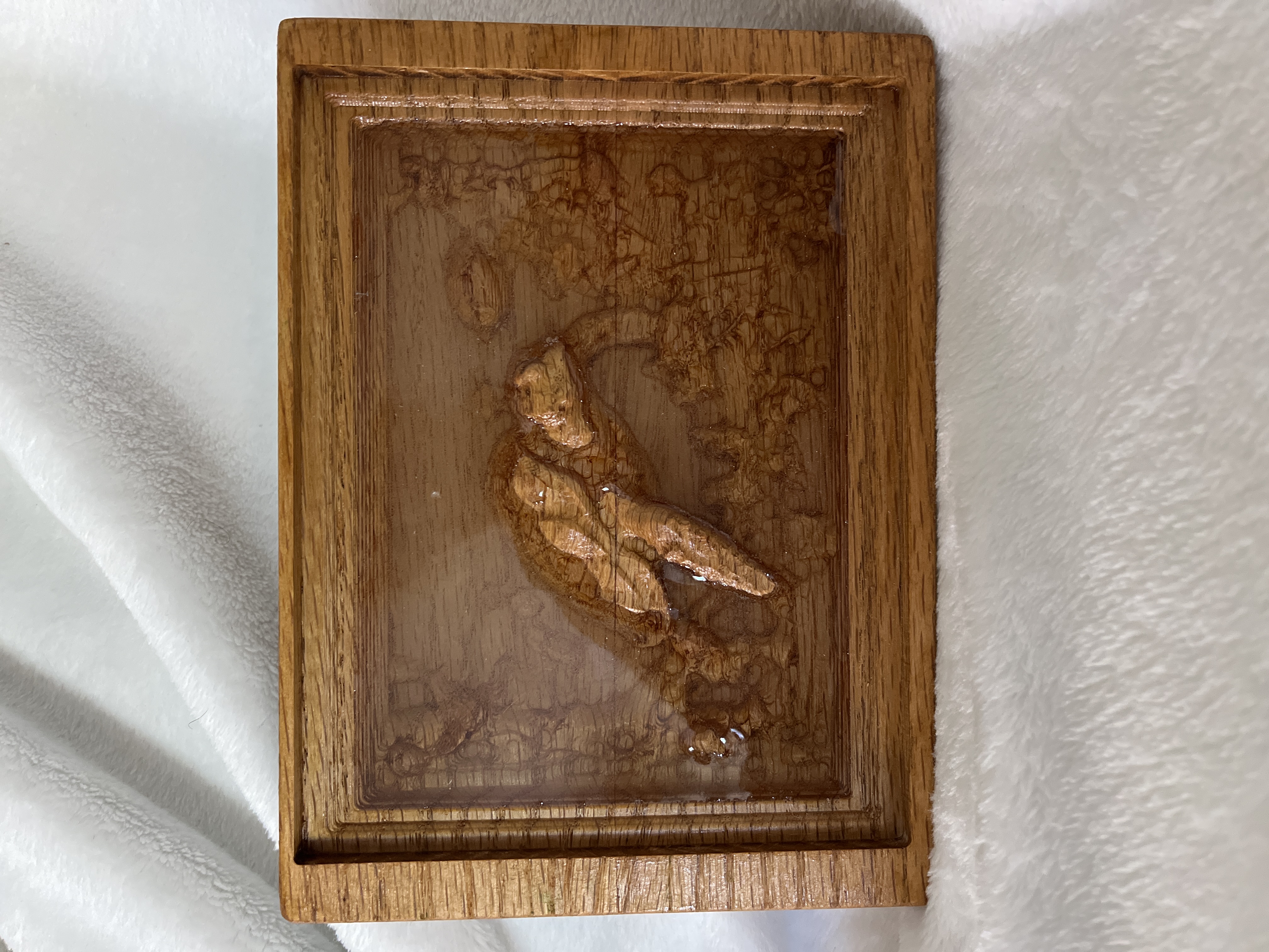 Wood relief and resin sea turtle